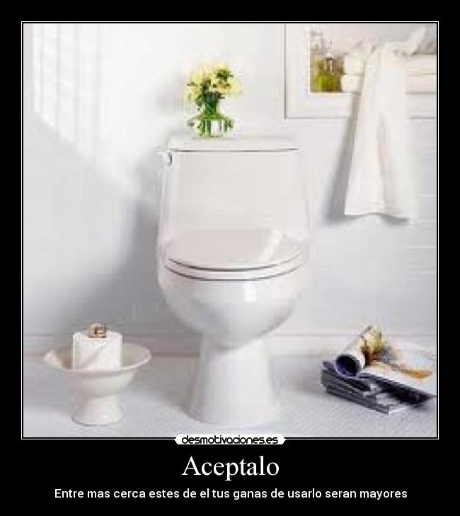 Aceptalo -