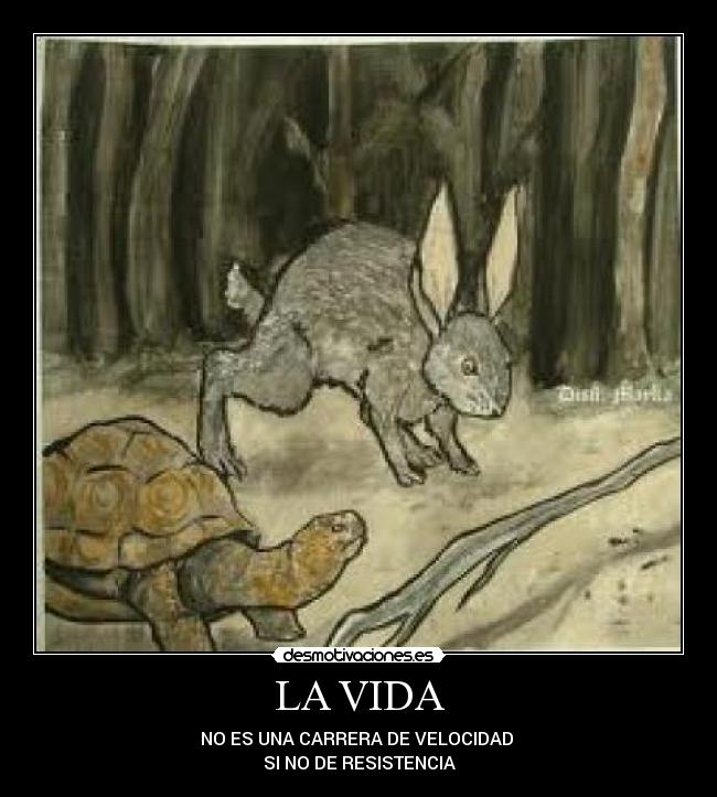 LA VIDA - NO ES UNA CARRERA DE VELOCIDAD
SI NO DE RESISTENCIA