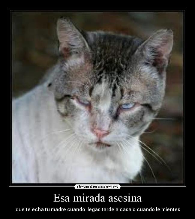 Esa mirada asesina - que te echa tu madre cuando llegas tarde a casa o cuando le mientes