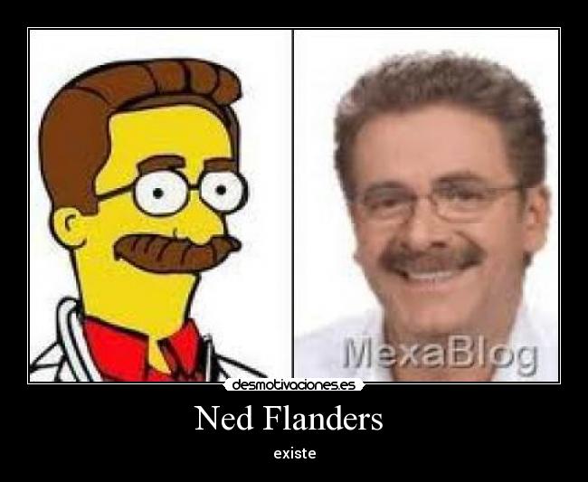 Ned Flanders -