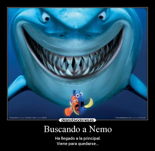 Buscando a Nemo - Ha llegado a la principal.
Viene para quedarse...