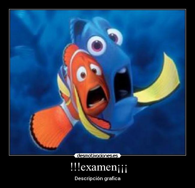 !!!examen¡¡¡ -