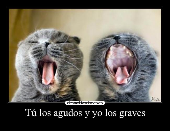 Tú los agudos y yo los graves -