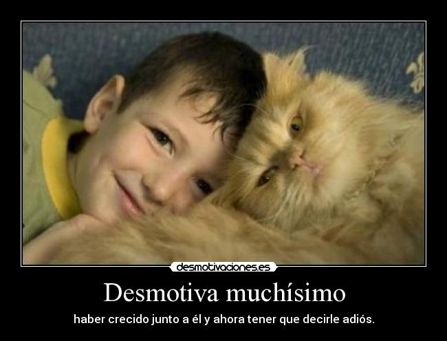 Desmotiva muchísimo - 