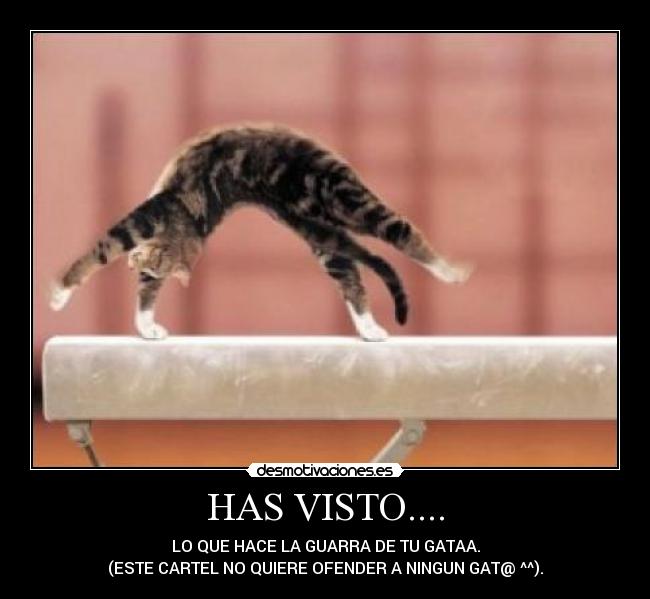 carteles miguel187 desmotivaciones