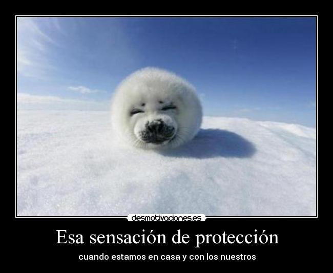Esa sensación de protección - 