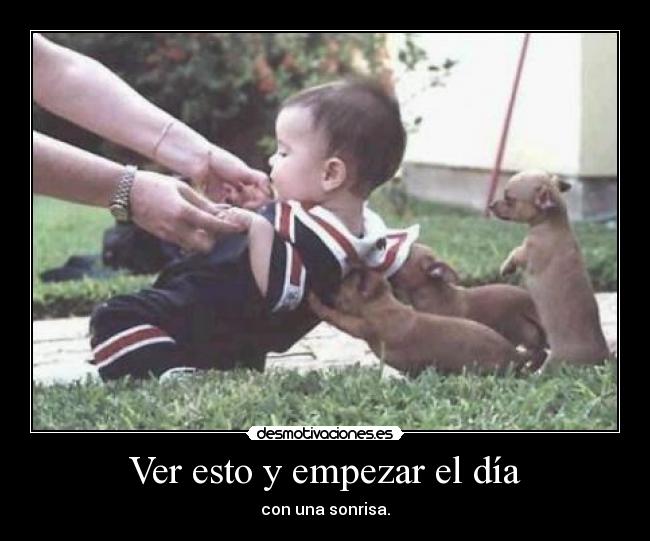 Ver esto y empezar el día - con una sonrisa.