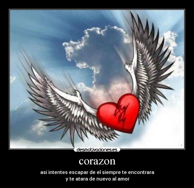 corazon - 