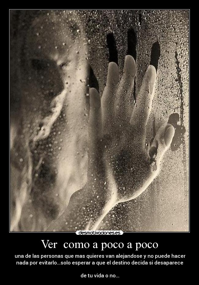 Ver  como a poco a poco - 