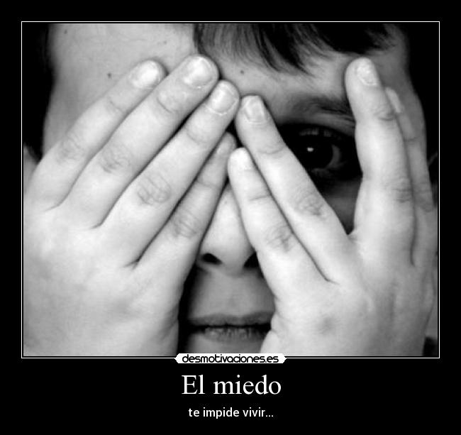 carteles miedo miedo desmotivaciones