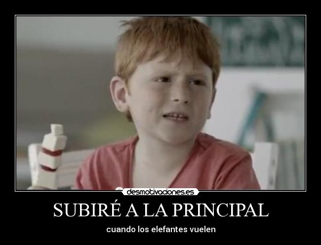 SUBIRÉ A LA PRINCIPAL - cuando los elefantes vuelen