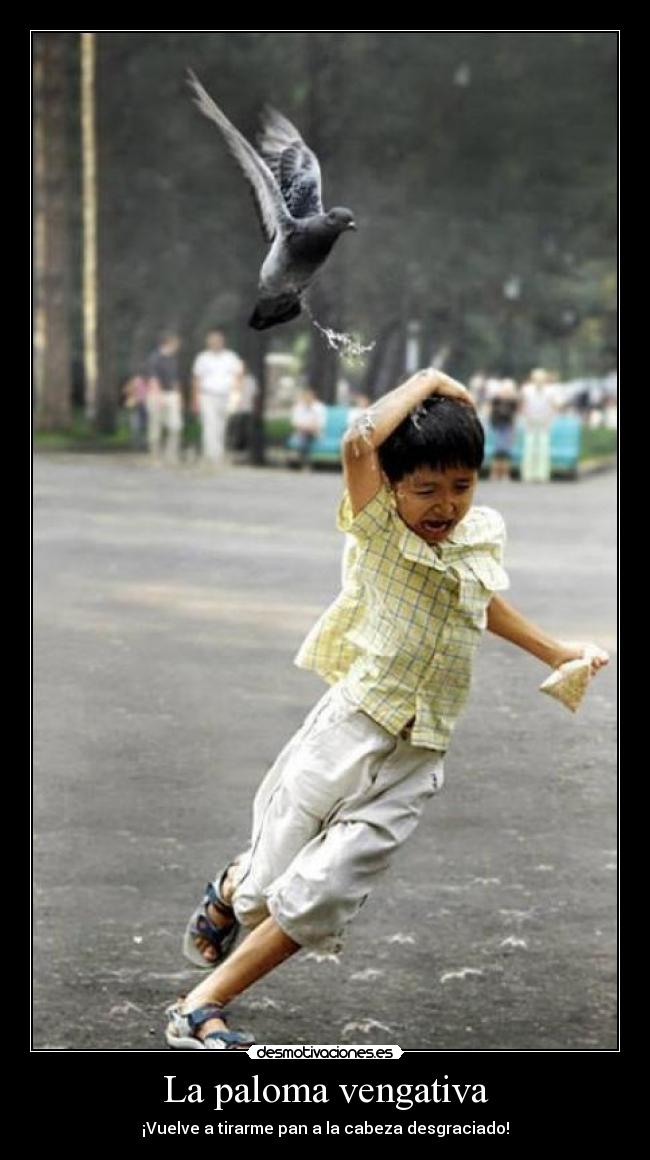 La paloma vengativa - ¡Vuelve a tirarme pan a la cabeza desgraciado!
