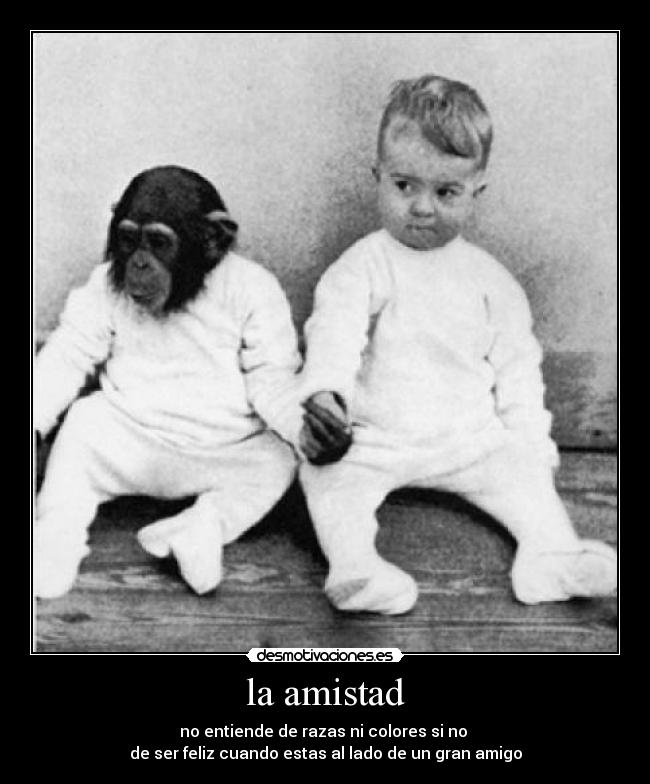 la amistad - no entiende de razas ni colores si no
de ser feliz cuando estas al lado de un gran amigo