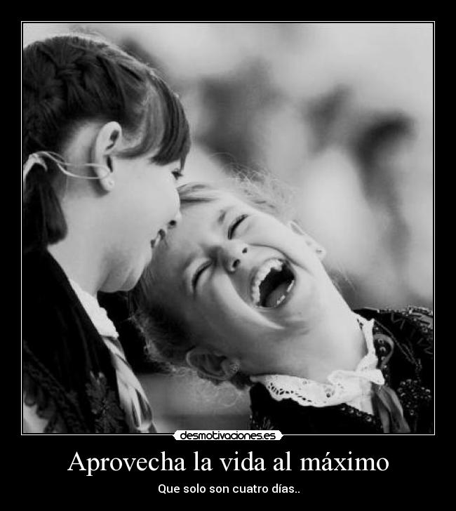 carteles vida vida desmotivaciones