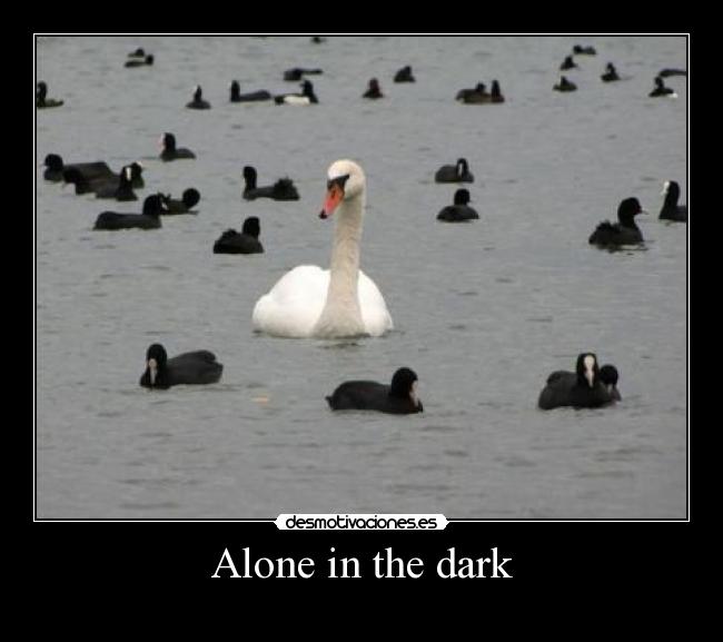 Alone in the dark - 