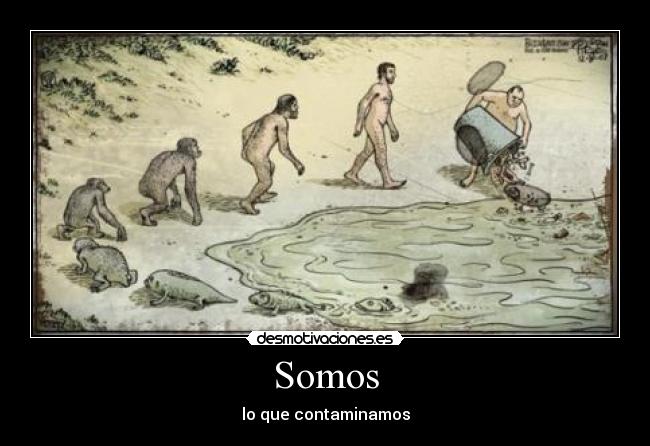 Somos - lo que contaminamos