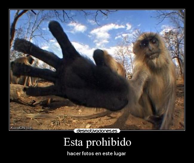 Esta prohibido -