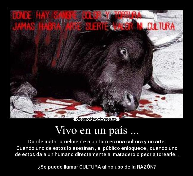 Vivo en un país ... -