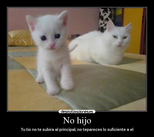 No hijo -