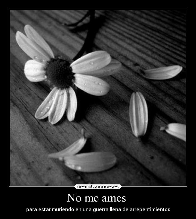 No me ames  - para estar muriendo en una guerra llena de arrepentimientos