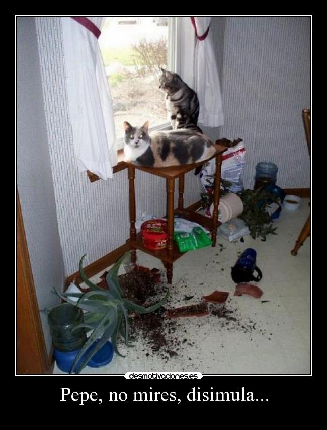 Pepe, no mires, disimula... - 