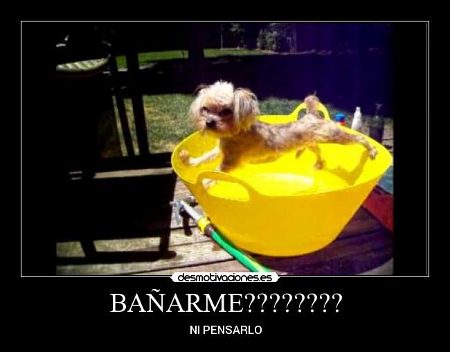 BAÑARME???????? -