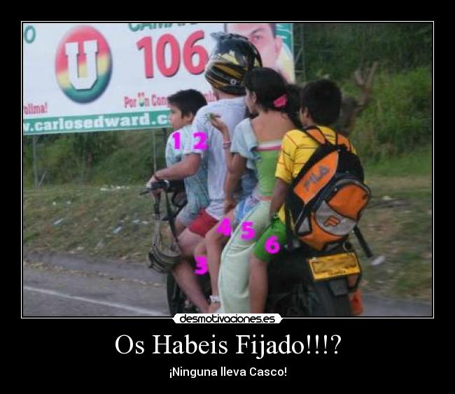 Os Habeis Fijado!!!? - 