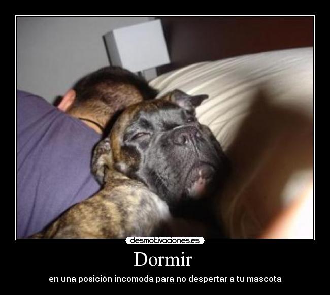 Dormir -