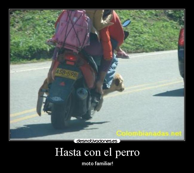Hasta con el perro - moto familiar!