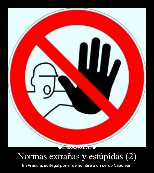 Normas extrañas y estúpidas (2) - En Francia, es ilegal poner de nombre a un cerdo Napoleón.