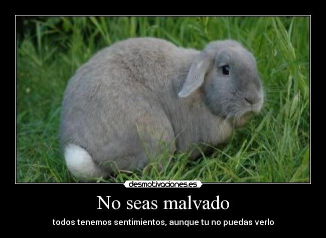 No seas malvado -