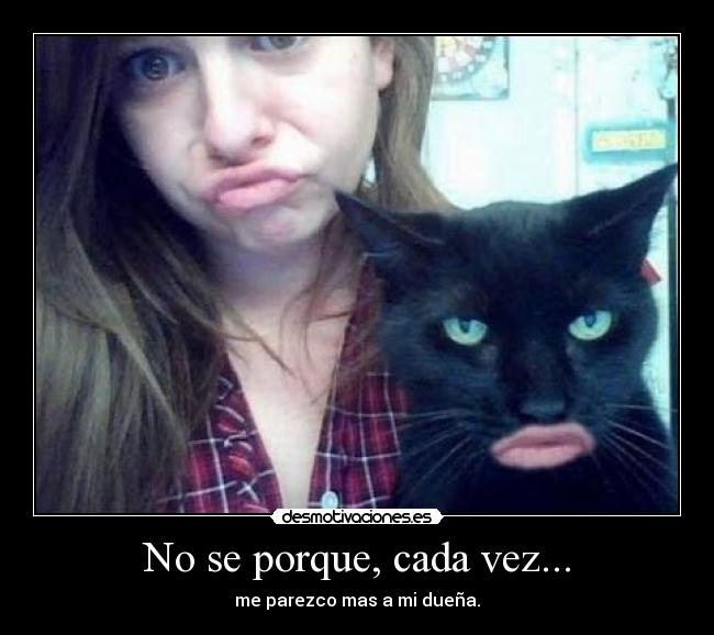 No se porque, cada vez... - me parezco mas a mi dueña.