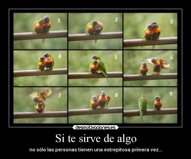 carteles personas desmotivaciones