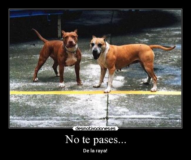 No te pases... - De la raya!