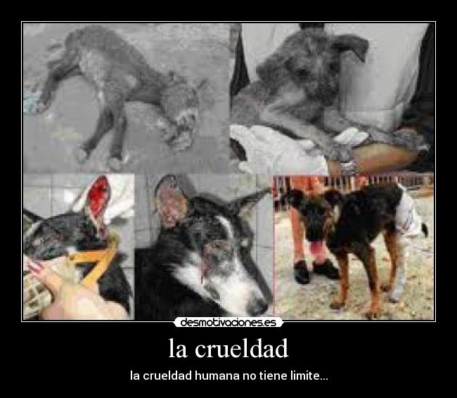 la crueldad - 