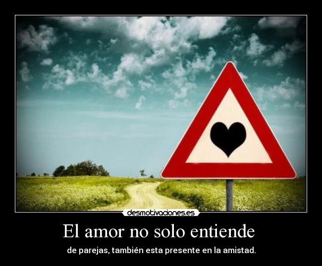 El amor no solo entiende  - 