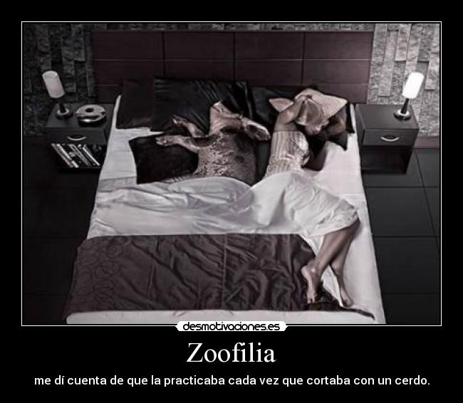 Zoofilia - me dí cuenta de que la practicaba cada vez que cortaba con un cerdo.