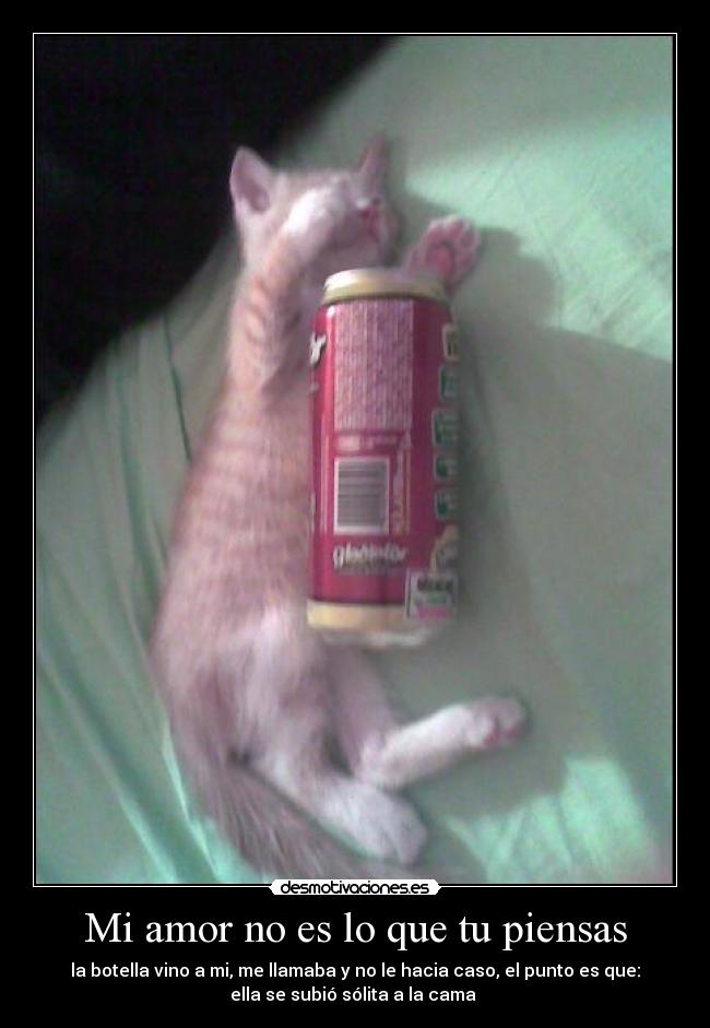 carteles amor amor que piensas desmotivaciones