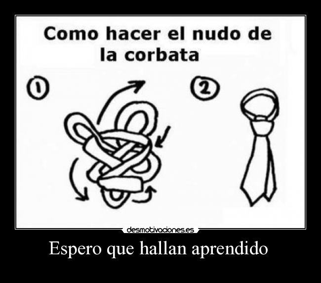 carteles espero que hallan aprendido desmotivaciones