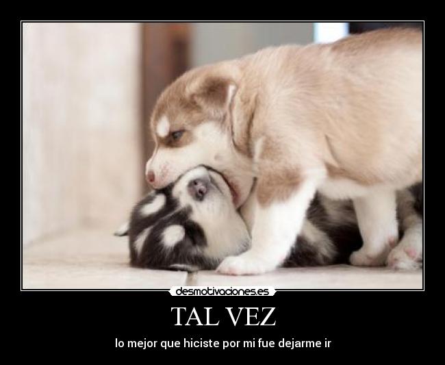 TAL VEZ -