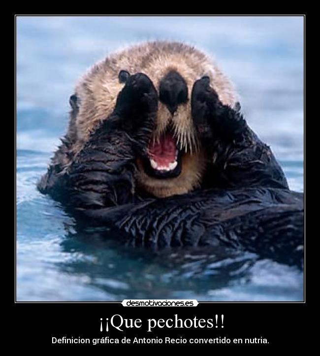 ¡¡Que pechotes!! -