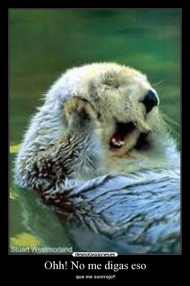 Ohh! No me digas eso - que me sonrrojo!!