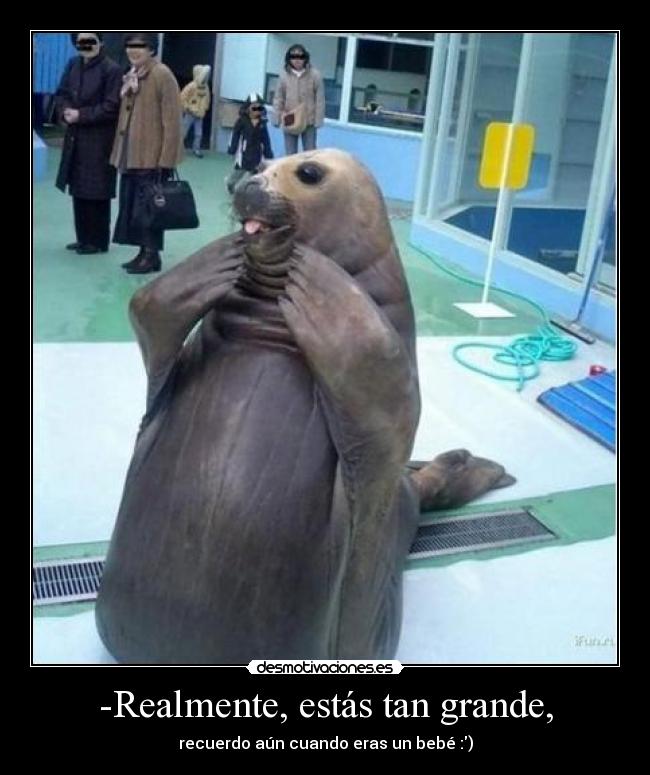 -Realmente, estás tan grande, - recuerdo aún cuando eras un bebé :)