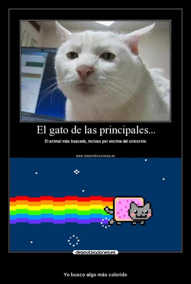 - Yo busco algo más colorido
