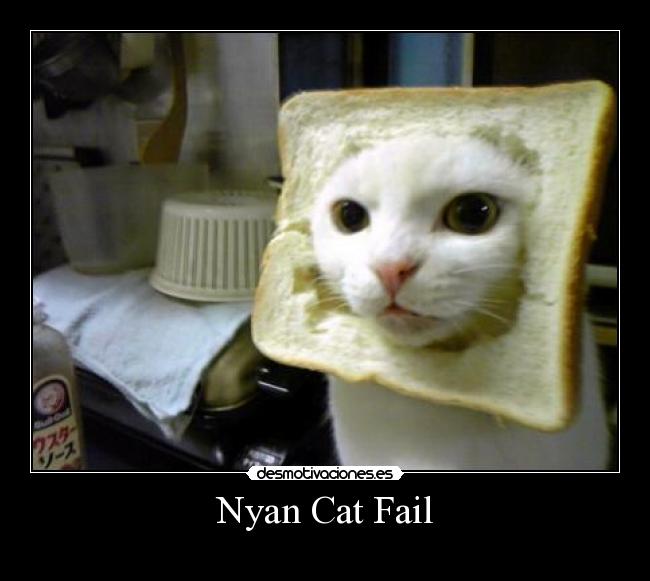 carteles fail nyan cat tostada fail desmotivaciones