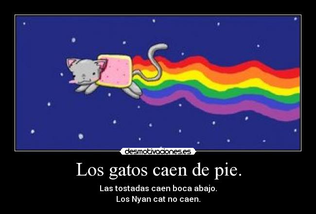 Los gatos caen de pie. - 