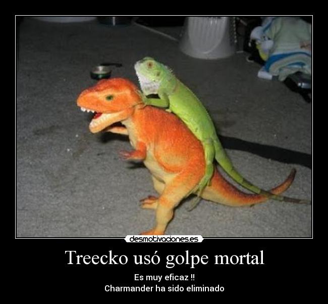 Treecko usó golpe mortal -
