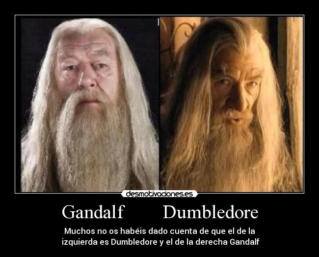 Gandalf        Dumbledore - Muchos no os habéis dado cuenta de que el de la
 izquierda es Dumbledore y el de la derecha Gandalf