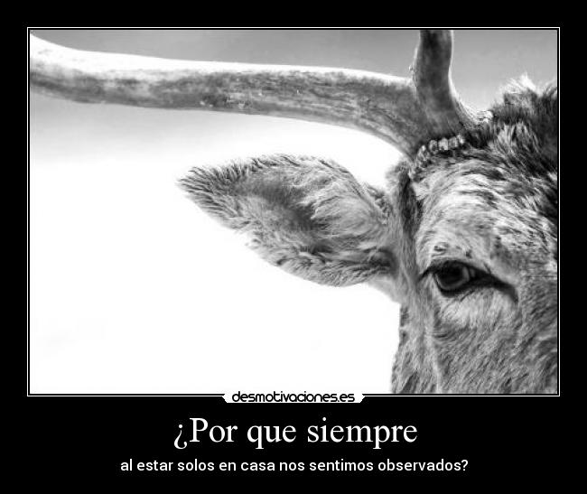 ¿Por que siempre - al estar solos en casa nos sentimos observados?
