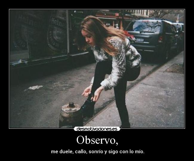 Observo, - 